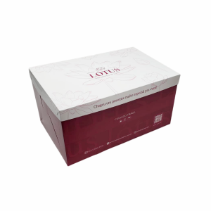 CAIXA TAMPA E FUNDO FECHAMENTO ENCAIXE G - 4X0 CORES - CARTÃO 350G - LAMINAÇÃO FOSCO OU BRILHO CARTÃO 350G 390x250x190x35mm 4x0 LAMINAÇÃO CORTE ESPECIAL 
